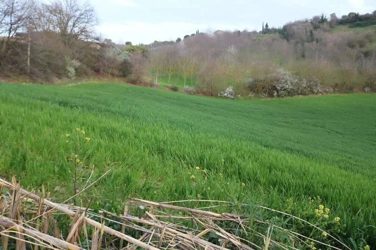 Rustico - Casale in vendita a Ponzano di Fermo