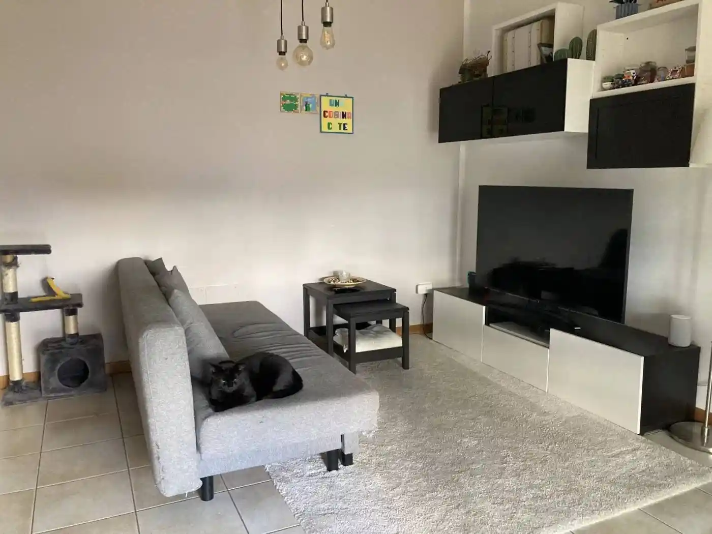 Appartamento in affitto a Rimini
