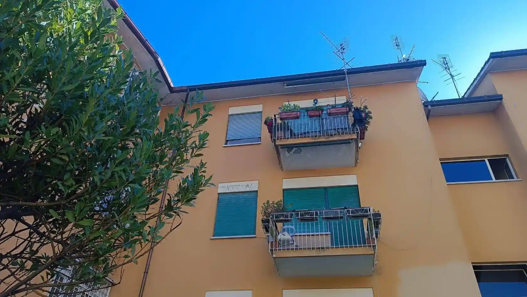 Appartamento in affitto a Roma