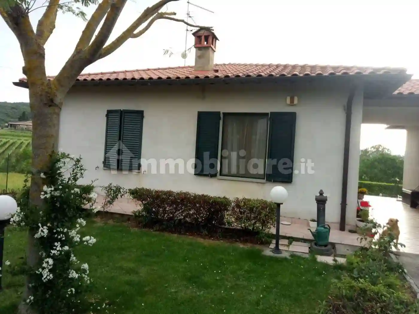 Villa - foto 4