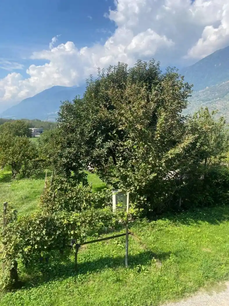 Appartamento in vendita a Albosaggia