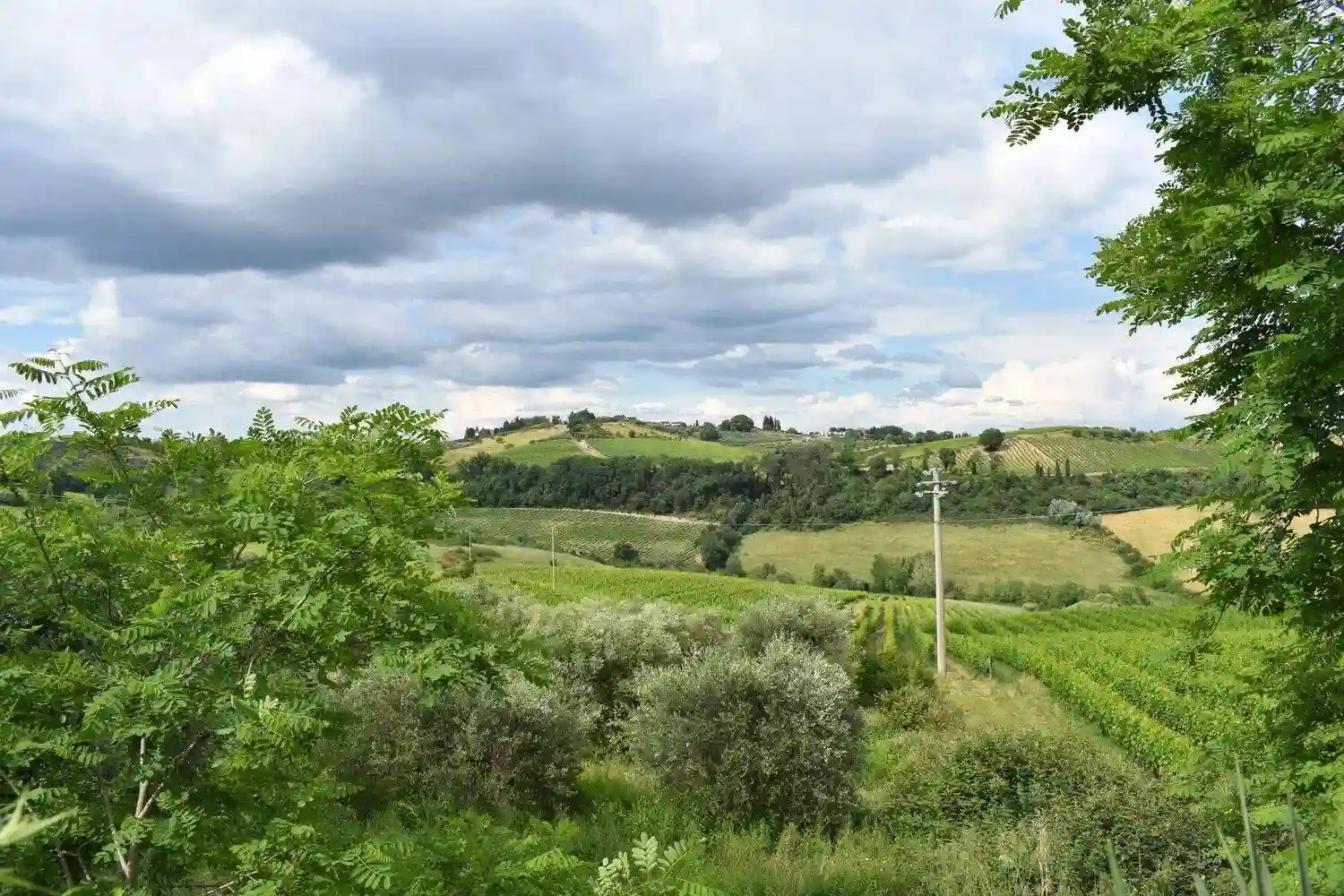 Rustico - Casale - foto 3