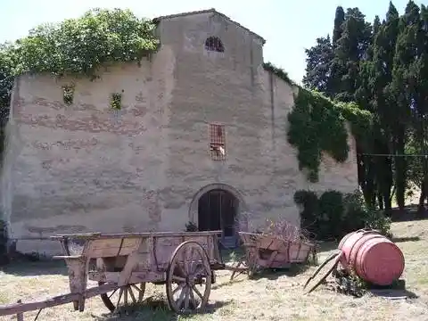 Rustico - Casale in vendita a Collesalvetti