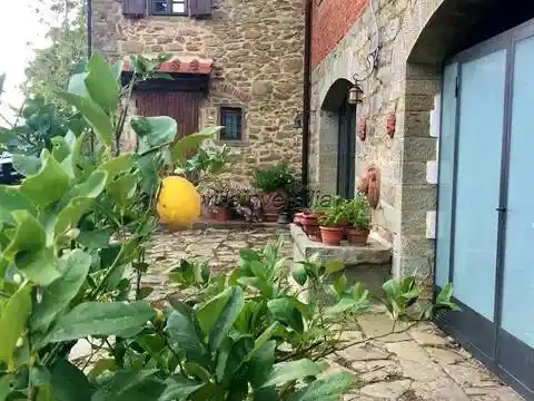 Palazzo - Edificio in vendita a Castelfranco Piandisco