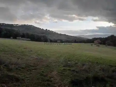 Rustico - Casale in vendita a Casole d'Elsa