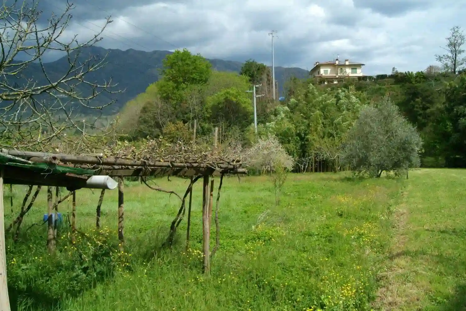 Rustico - Casale - foto 3