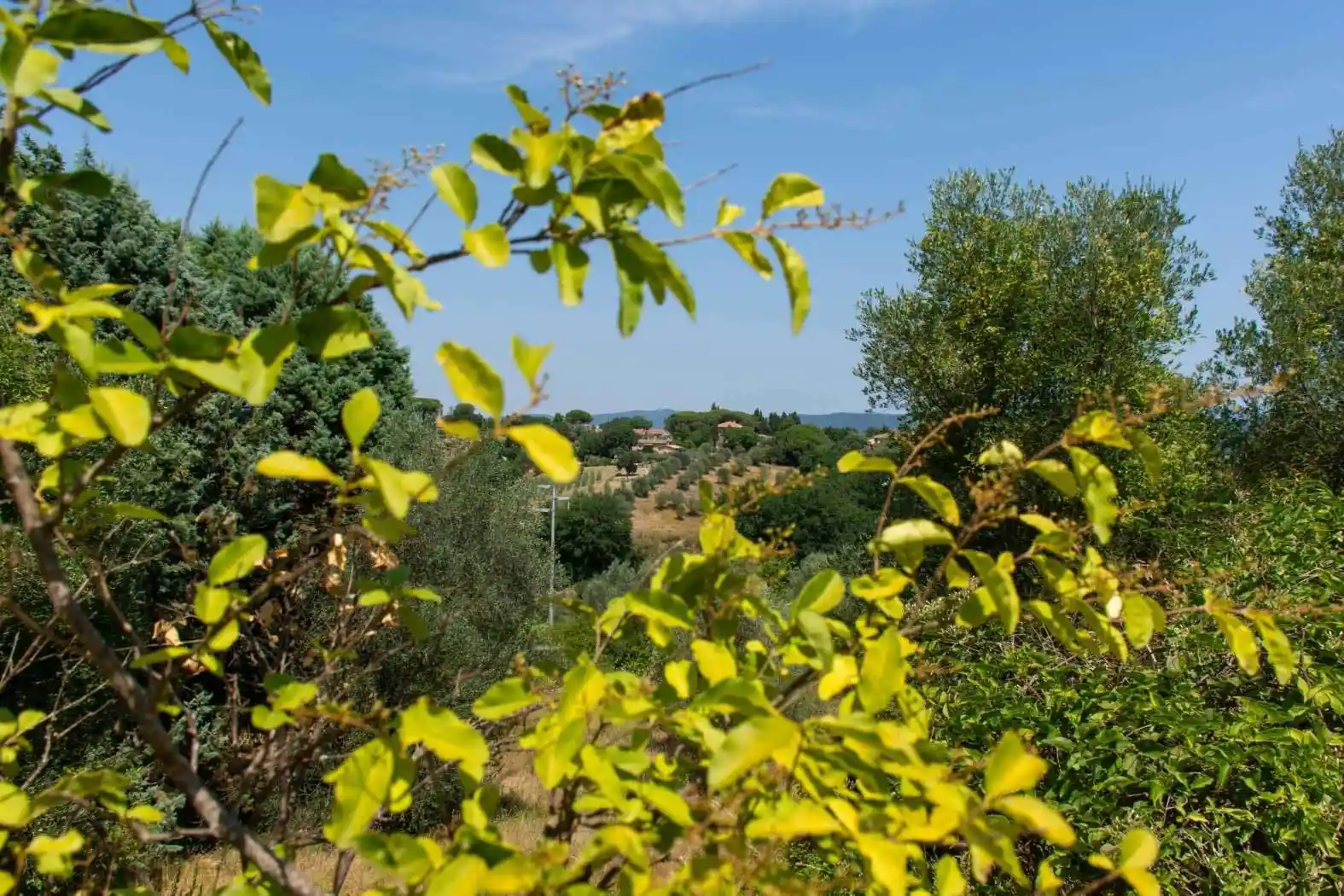 Villa in vendita a Narni