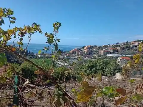 Villa in vendita a Santo Stefano al Mare