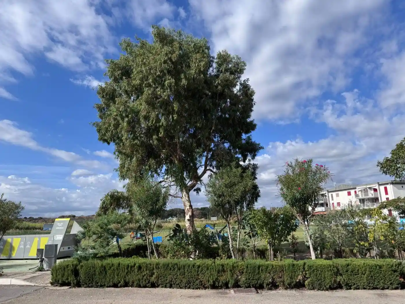 Appartamento in vendita a Campomarino