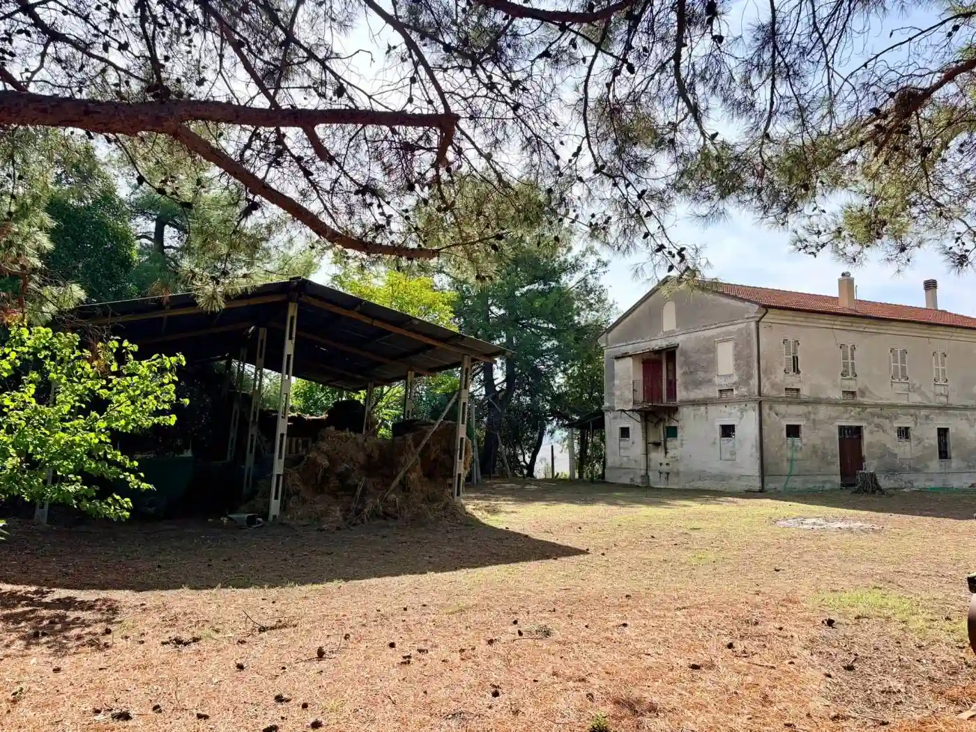 Rustico - Casale - foto 5