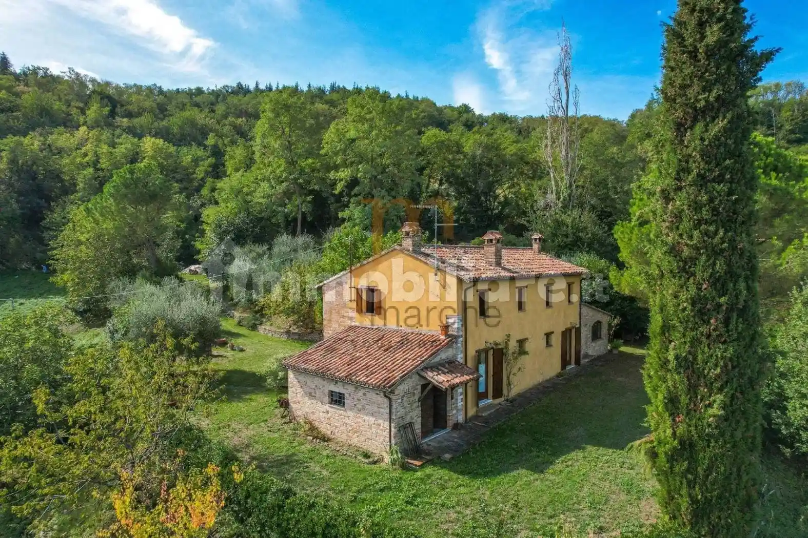 Rustico - Casale in vendita a Montefelcino
