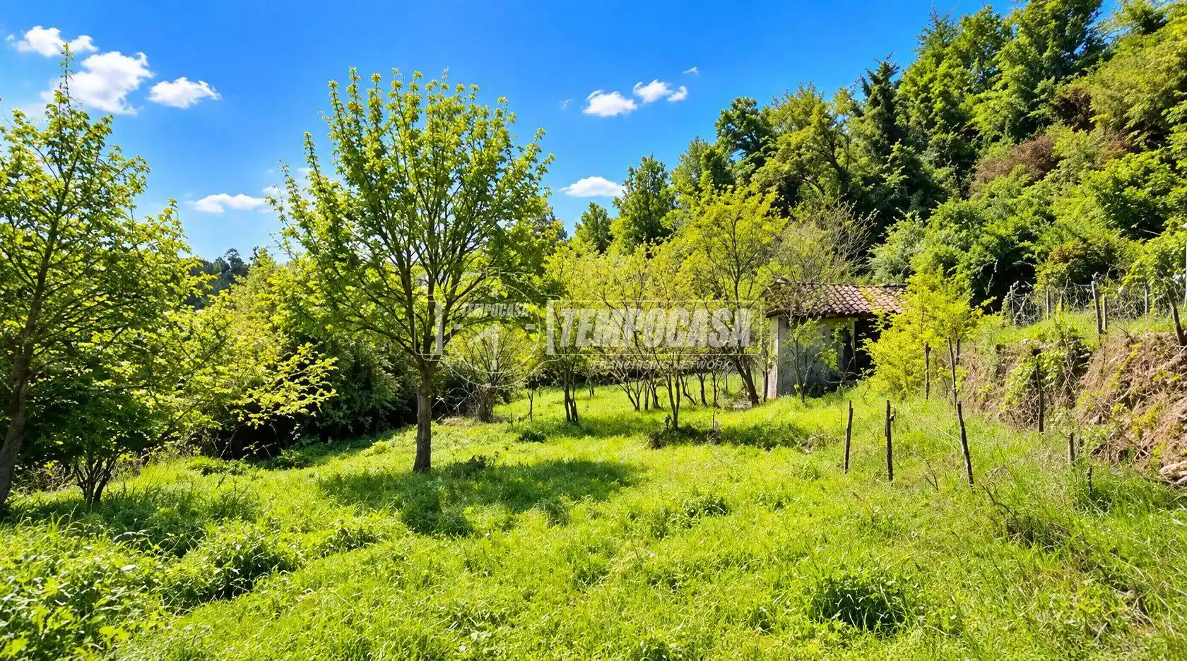 Rustico - Casale in vendita a Bra