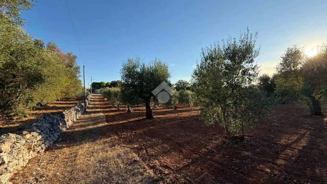 Rustico - Casale in vendita a Ceglie Messapica