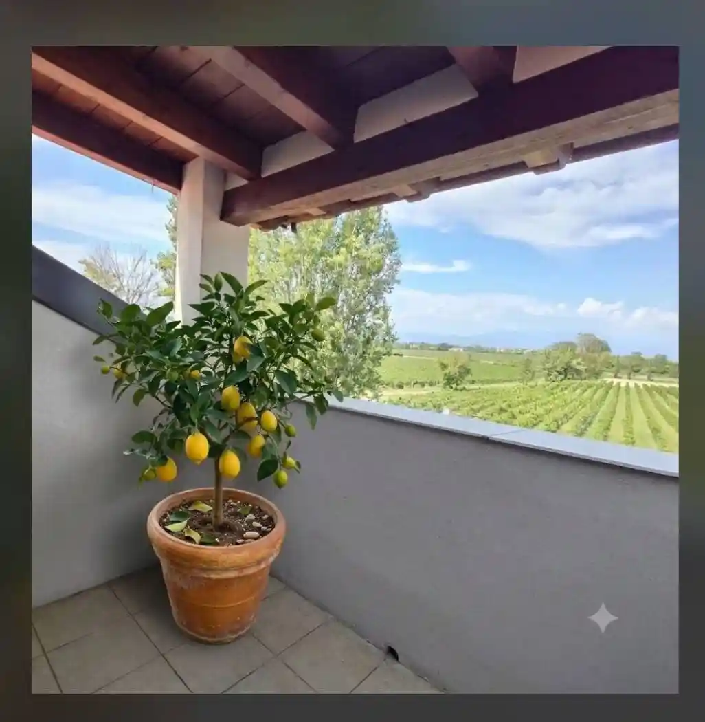 Appartamento in vendita a Desenzano del Garda