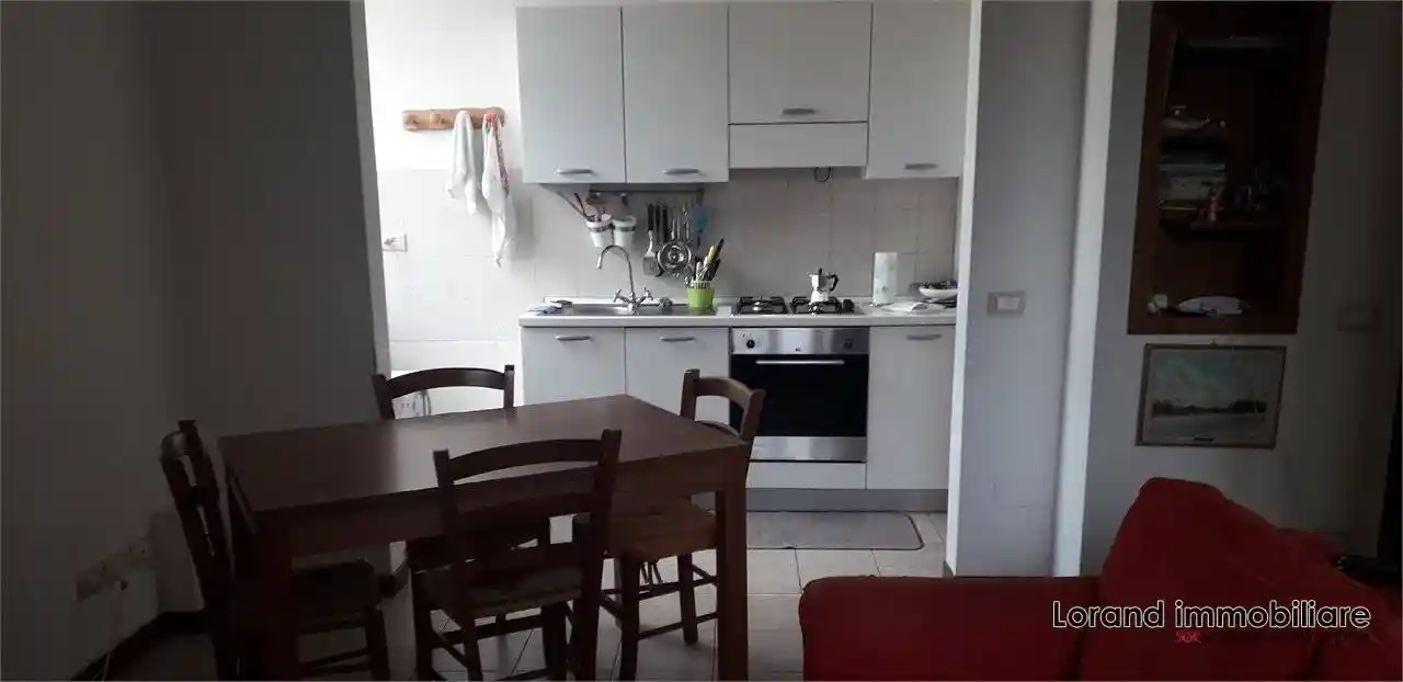 Appartamento in affitto a Pisa