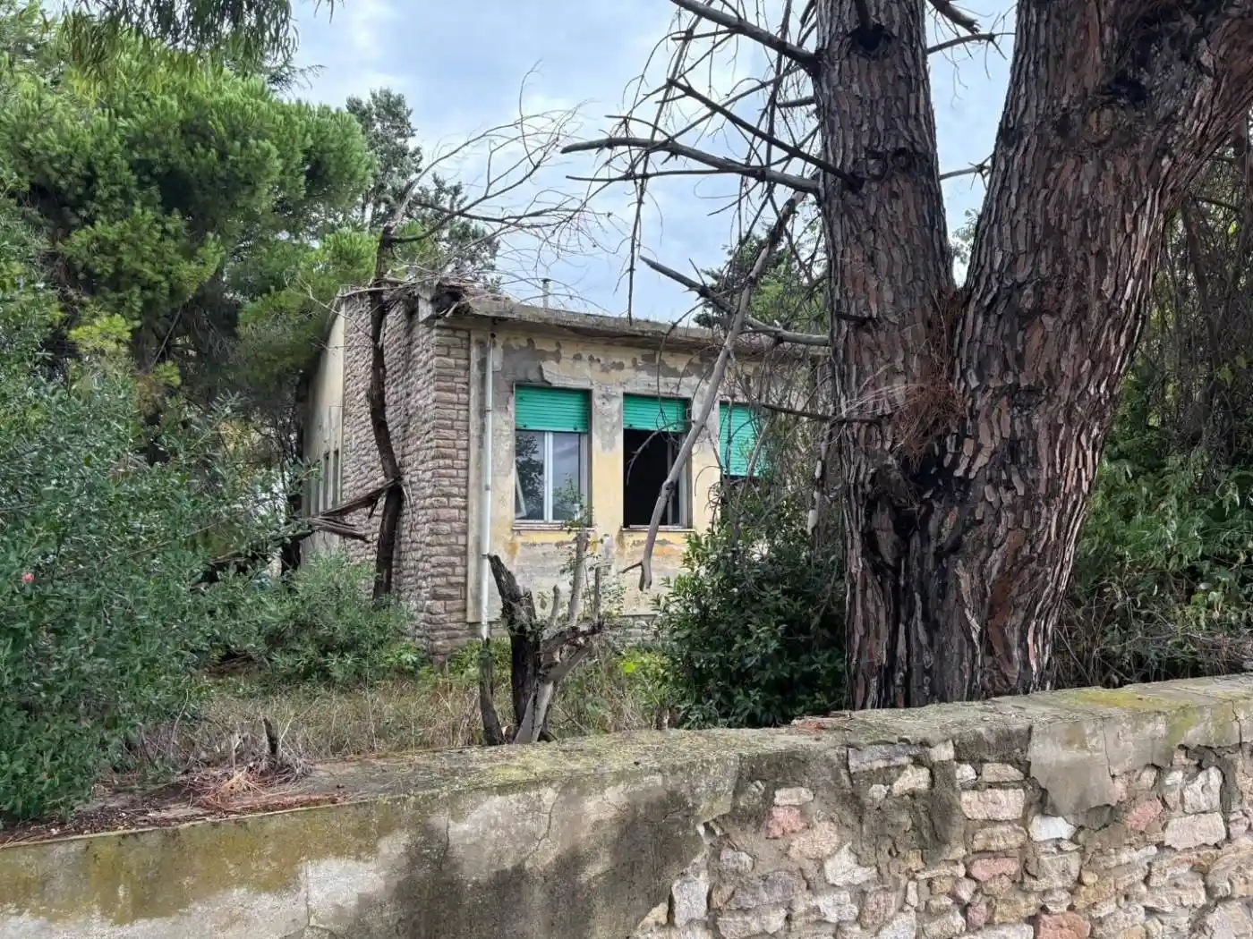 Casa indipendente in vendita a Bibbona