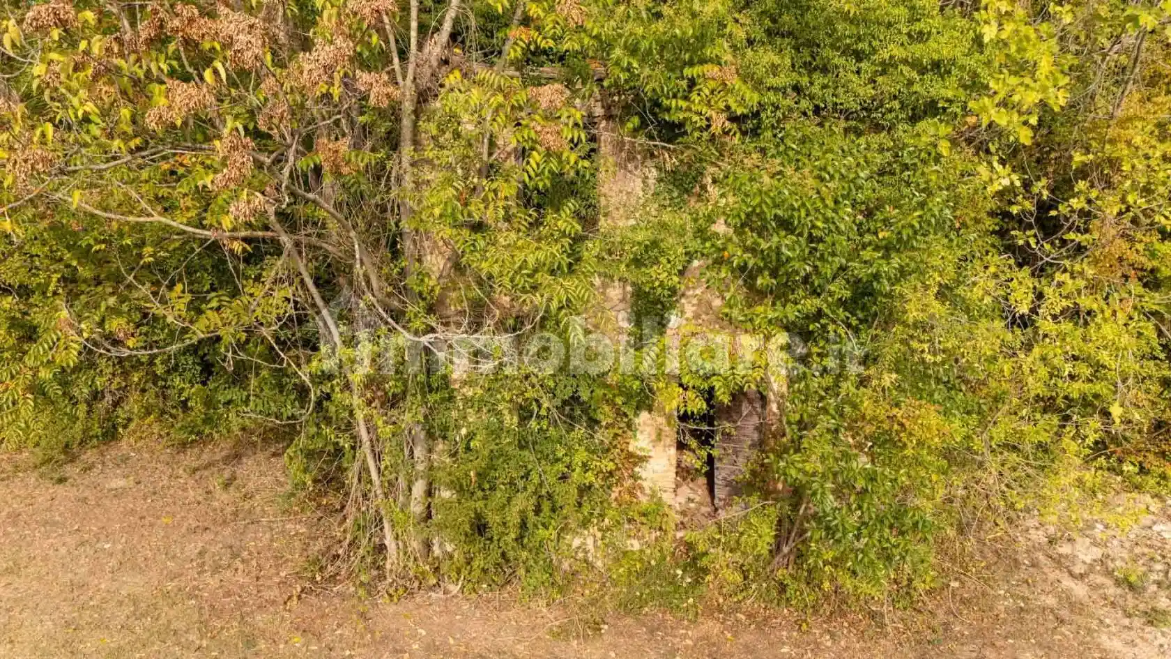 Rustico - Casale in vendita a Poggio Moiano