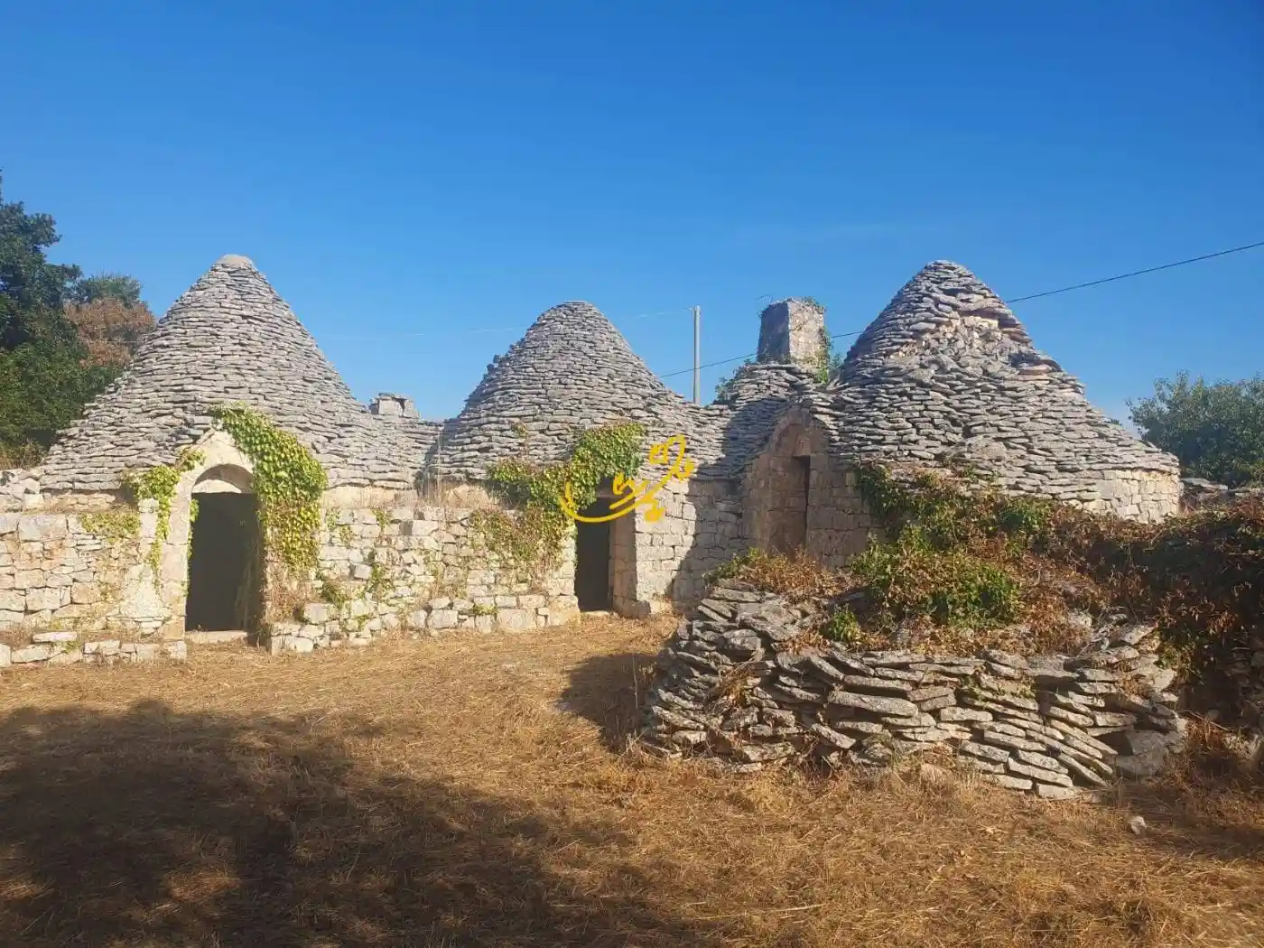 Rustico - Casale in vendita a Locorotondo
