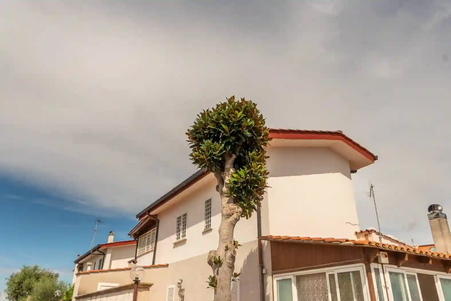 Villa - foto 4
