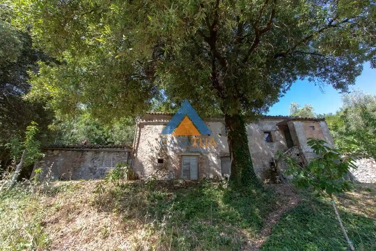 Rustico - Casale - foto 5