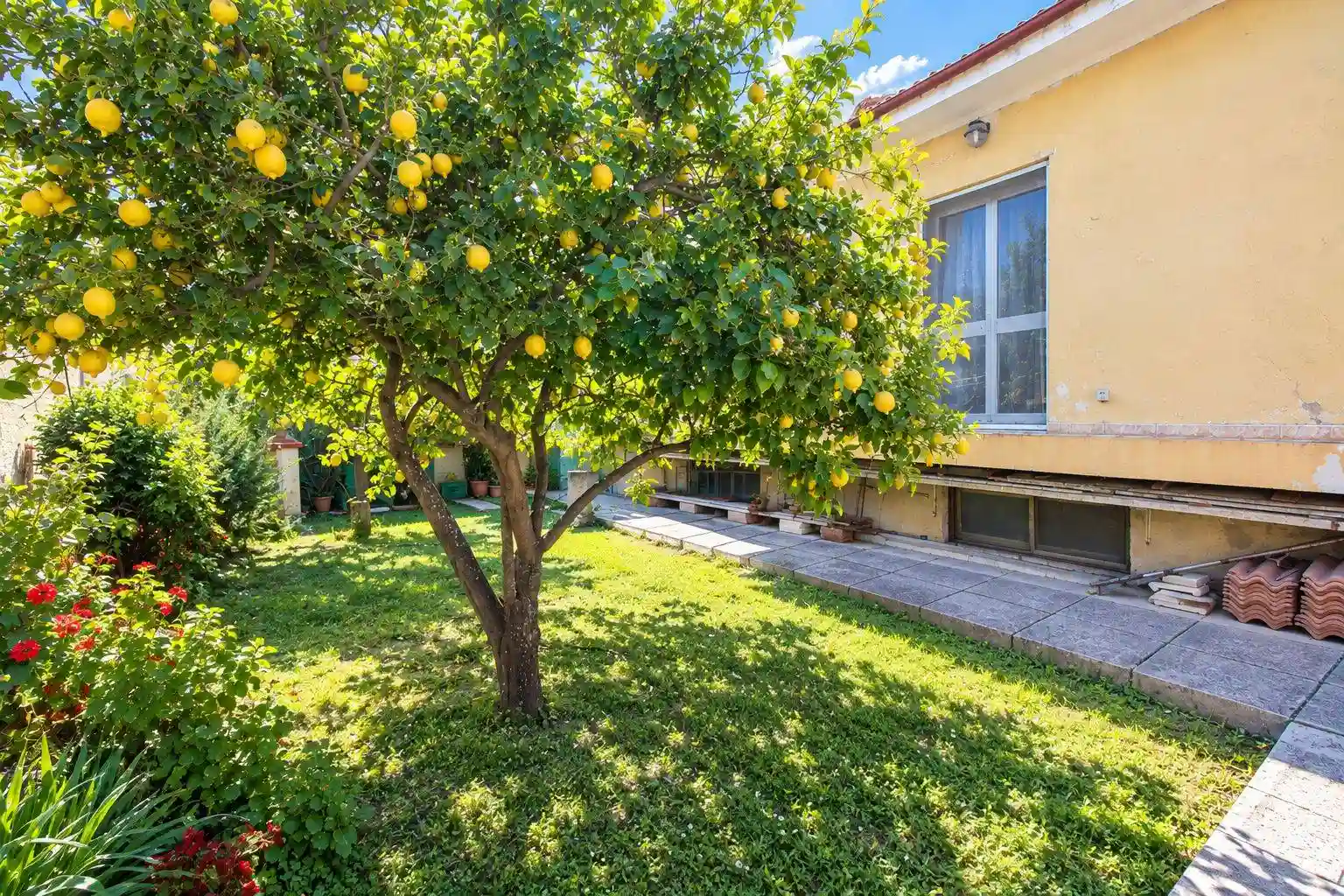 Villa - foto 5