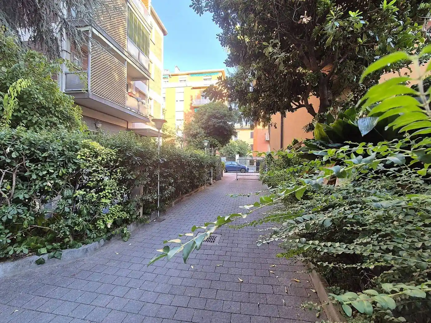 Appartamento in affitto a Bologna