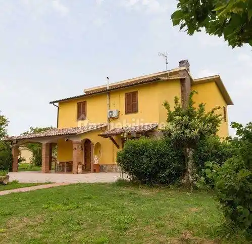 Rustico - Casale in vendita a Scansano