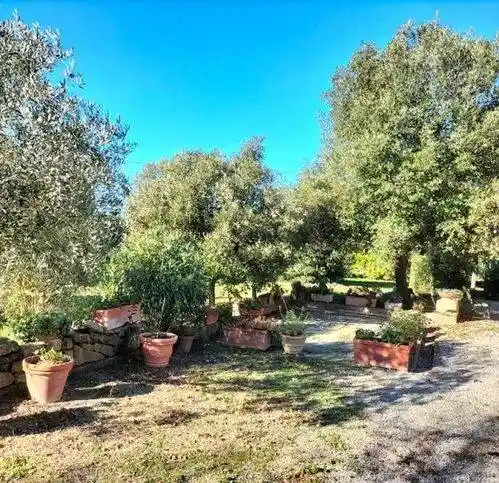 Rustico - Casale in vendita a Orbetello