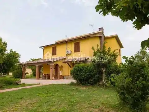 Rustico - Casale in vendita a Scansano