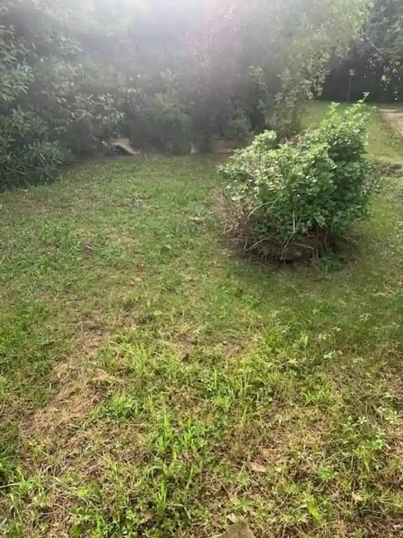 Villa in vendita a Cascina