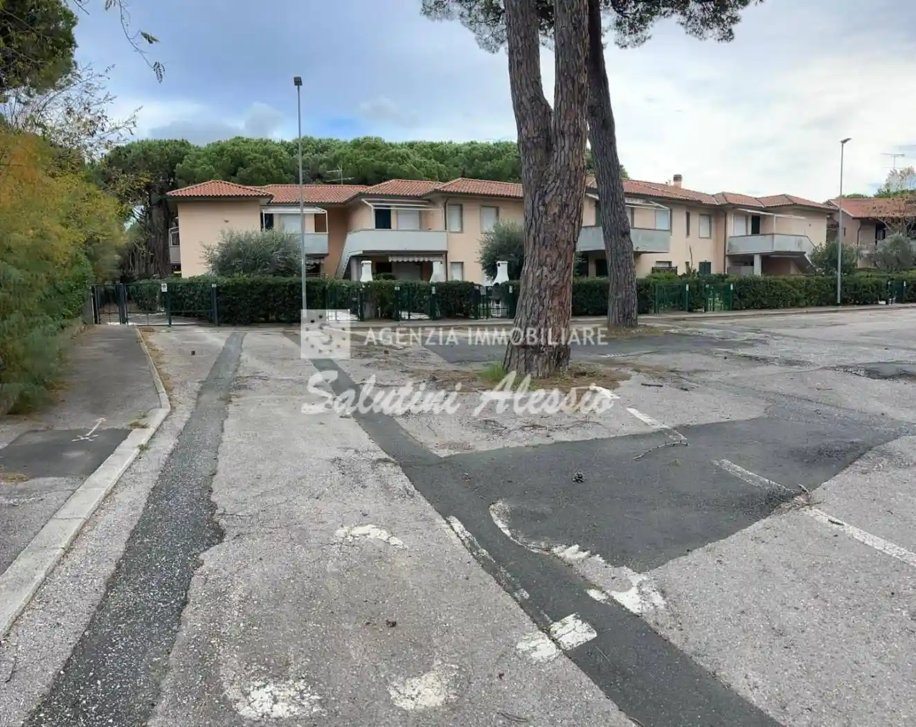 Appartamento in vendita a Bibbona