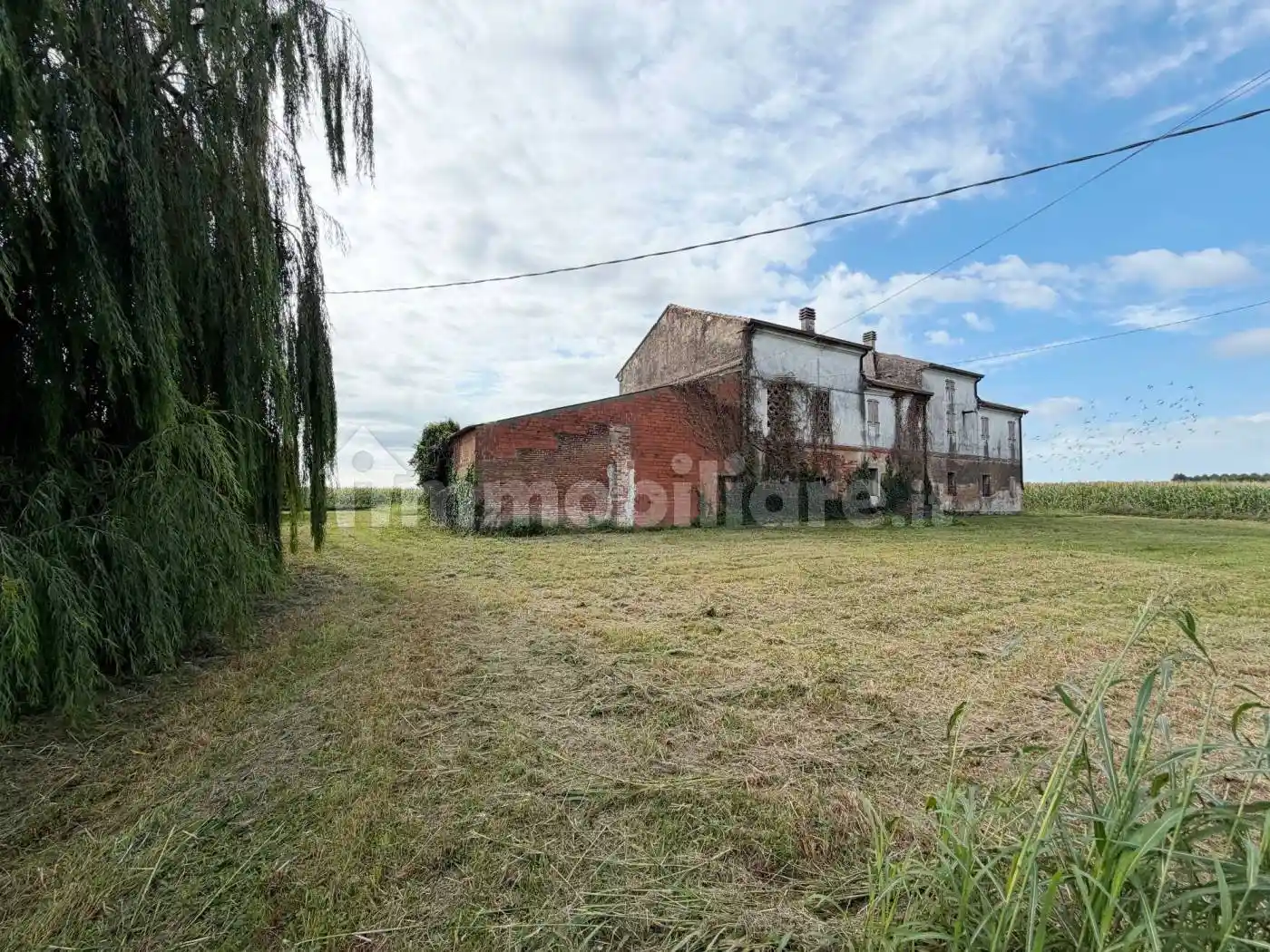 Villa in vendita a Nogara
