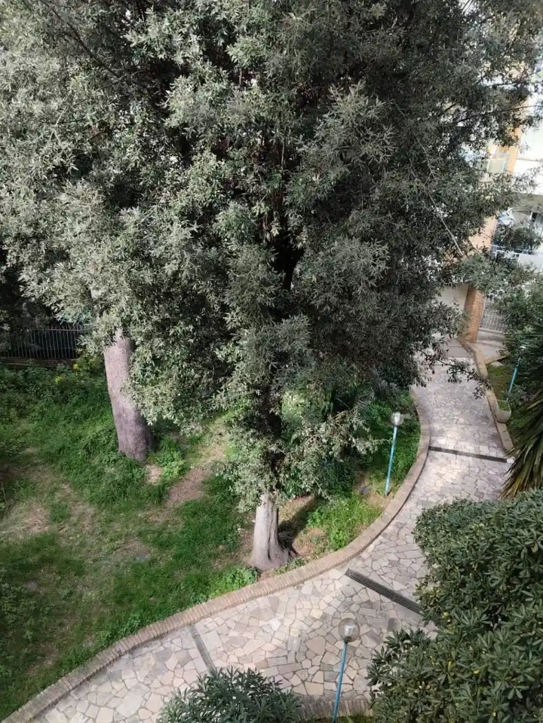 Appartamento in affitto a Roma