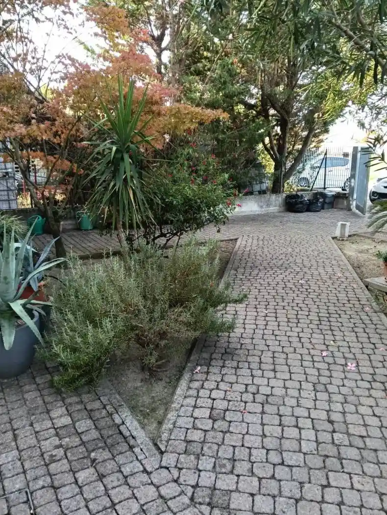 Appartamento in affitto a Sorbolo Mezzani