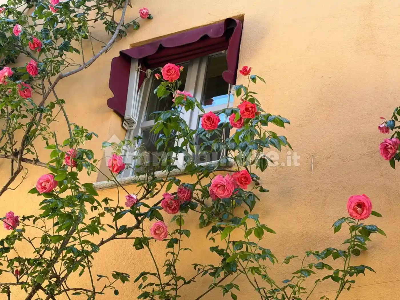 Appartamento in affitto a Barolo