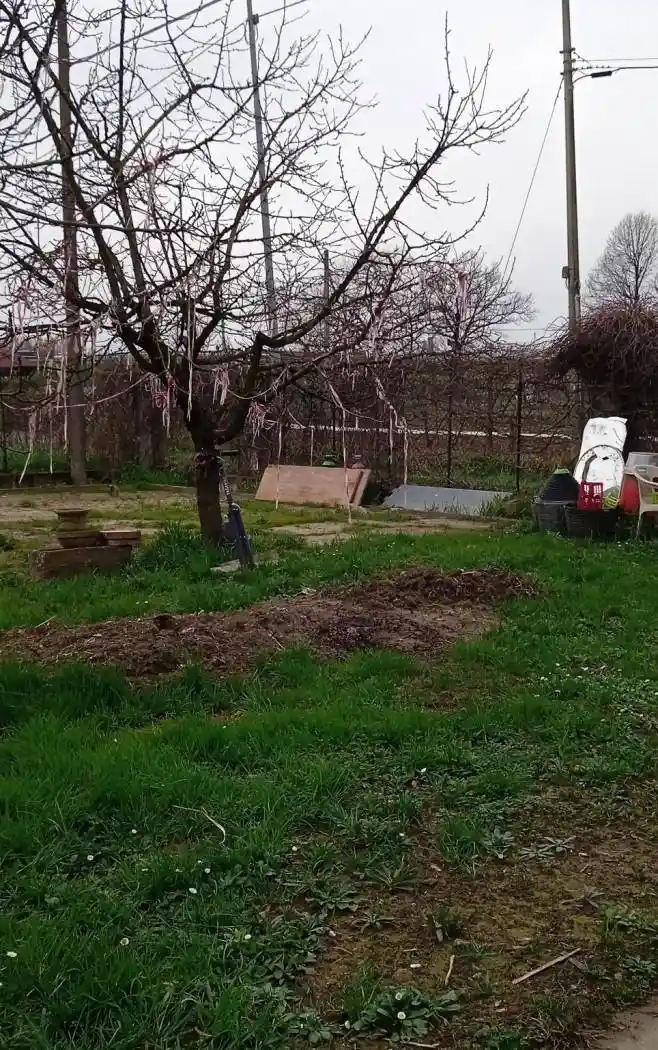 Casa indipendente in vendita a Prato