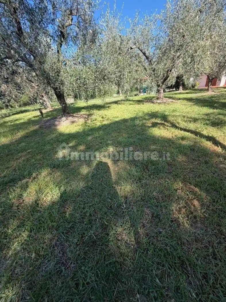 Villetta a schiera in vendita a Fosdinovo