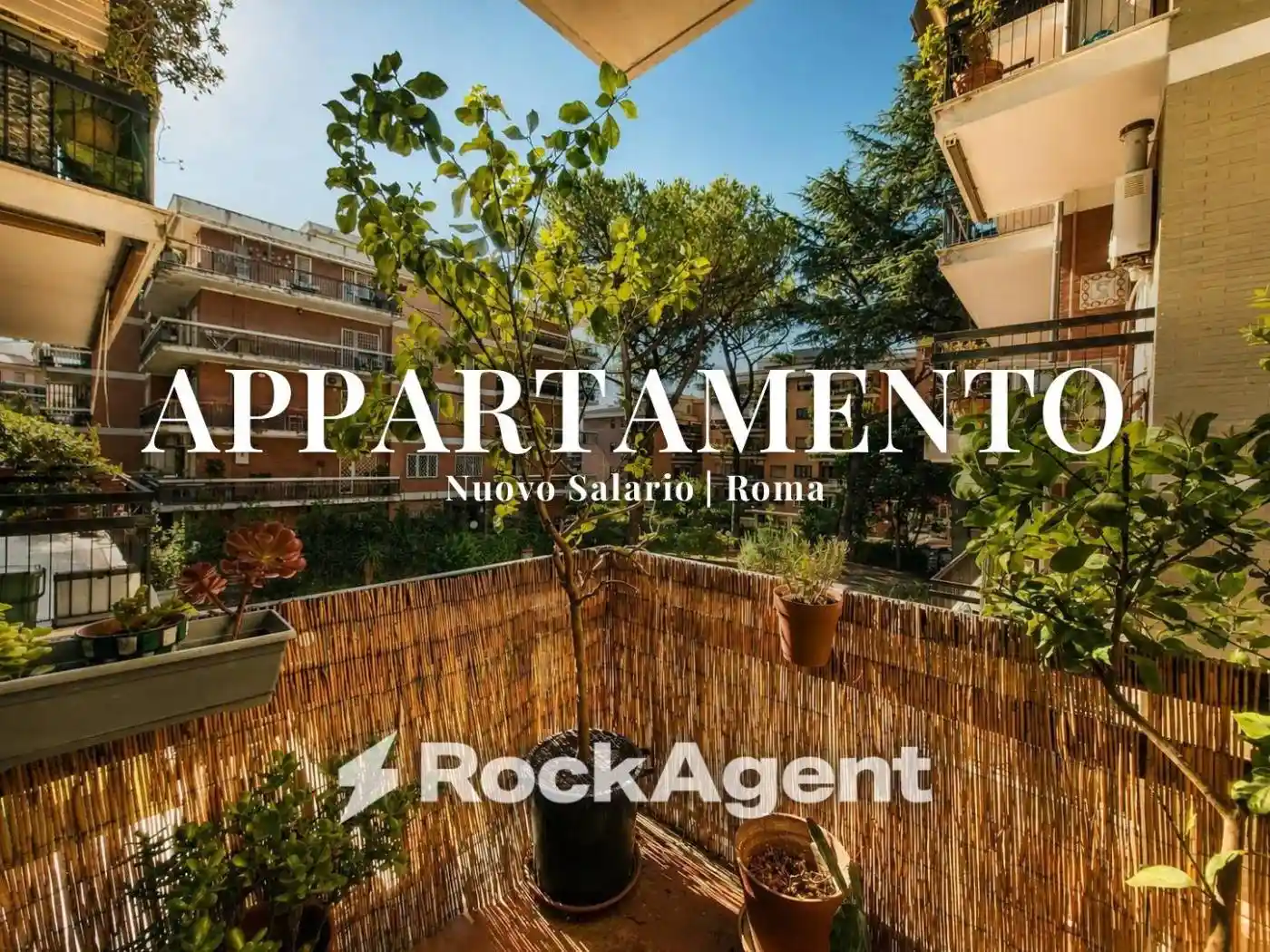 Appartamento in affitto a Roma