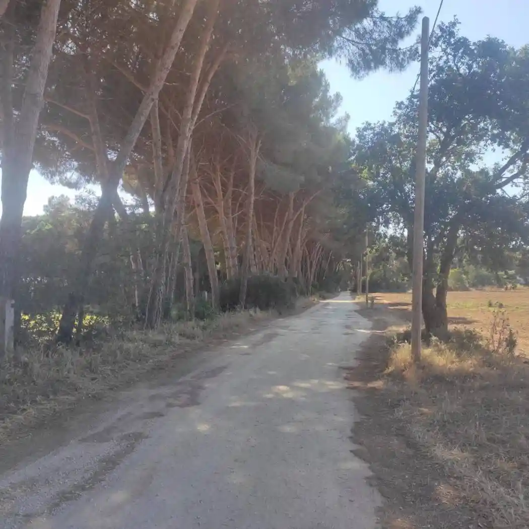 Villa in vendita a Sabaudia