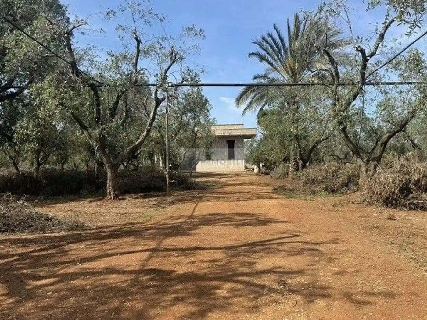 Rustico - Casale in vendita a Carovigno
