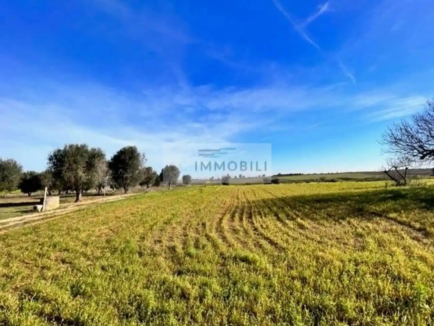 Rustico - Casale in vendita a Carovigno
