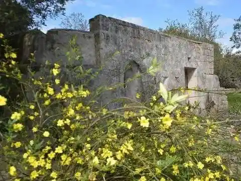 Rustico - Casale in vendita a Carovigno