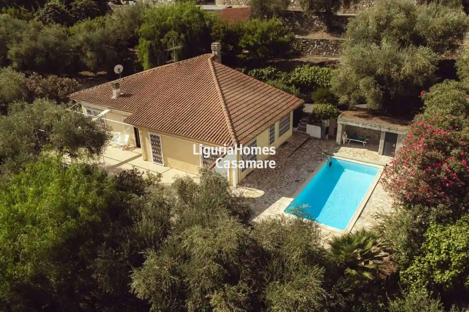 Villa - foto 3