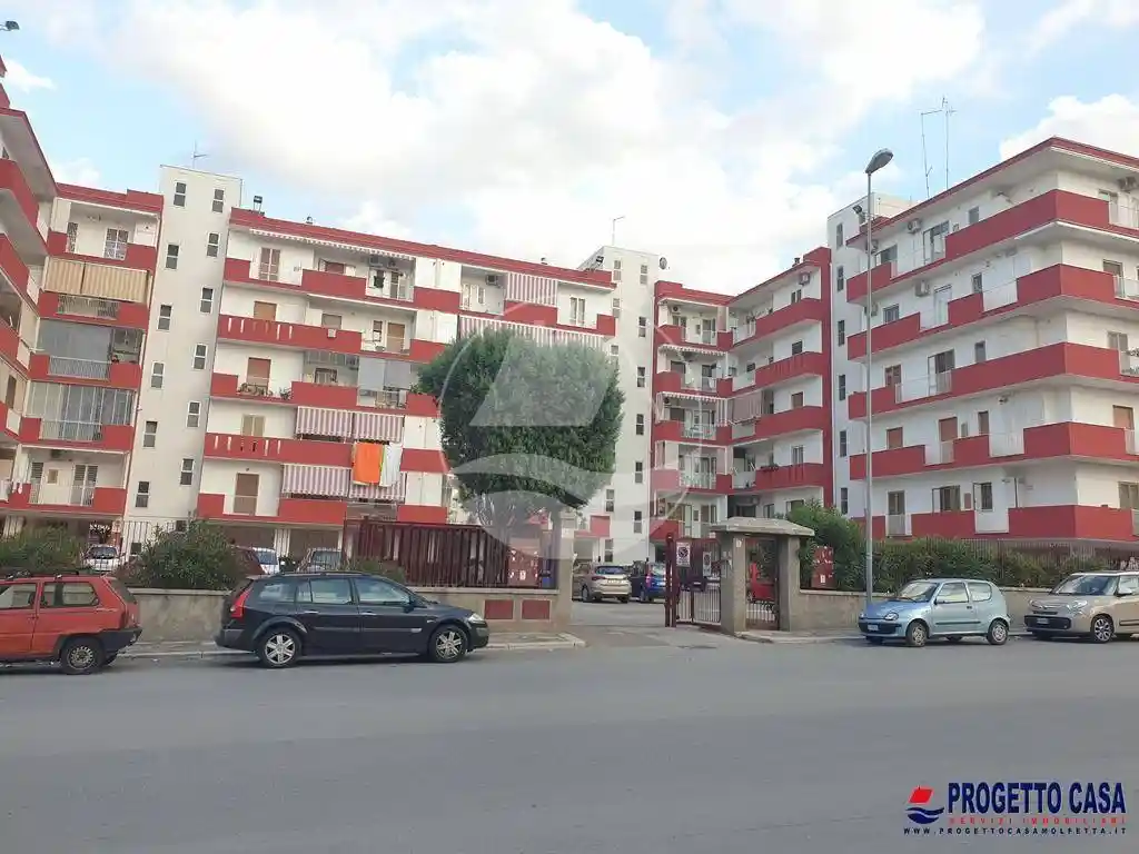 Appartamento in affitto a Molfetta