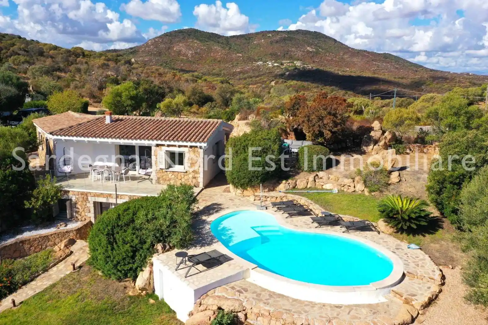 Villa in vendita a Loiri Porto San Paolo