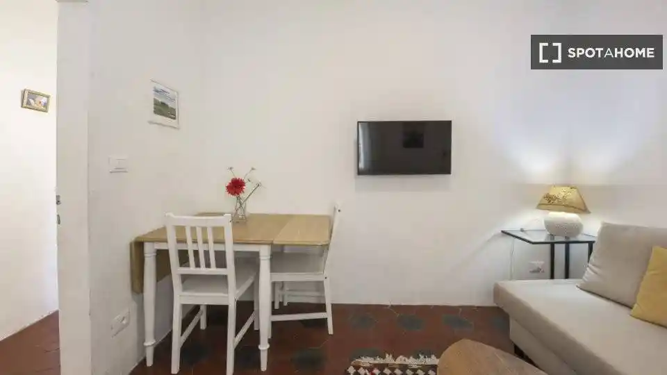 Appartamento in affitto a Firenze