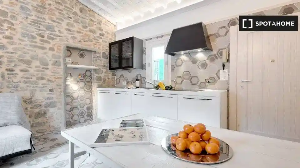 Appartamento in affitto a Firenze