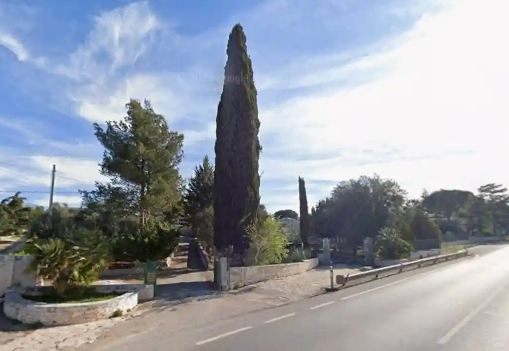 Villa in vendita a Putignano