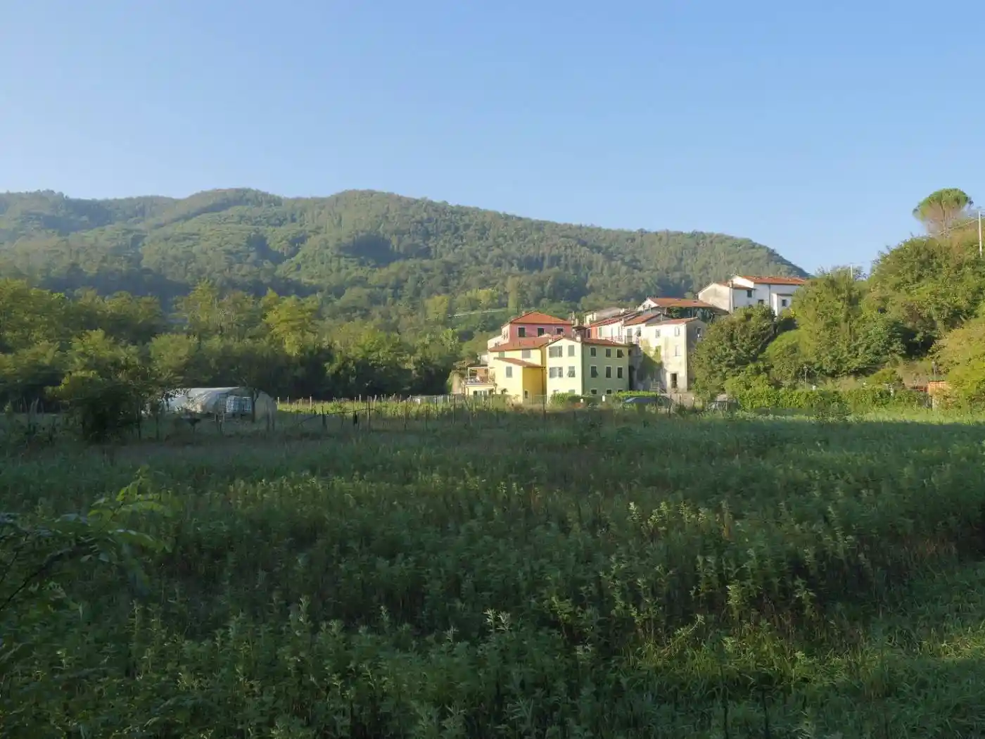 Casa indipendente in vendita a Carrodano