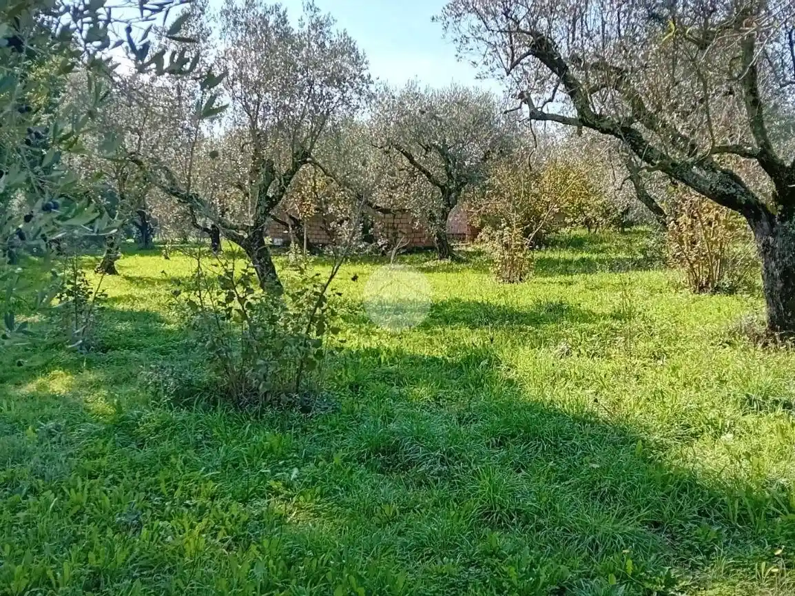 Rustico - Casale in vendita a Castel Sant'Elia